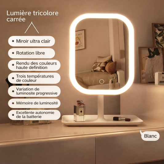 MIROIR LED